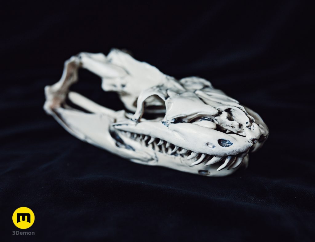 Python Snake Skull – 3Demon - 3D print models download