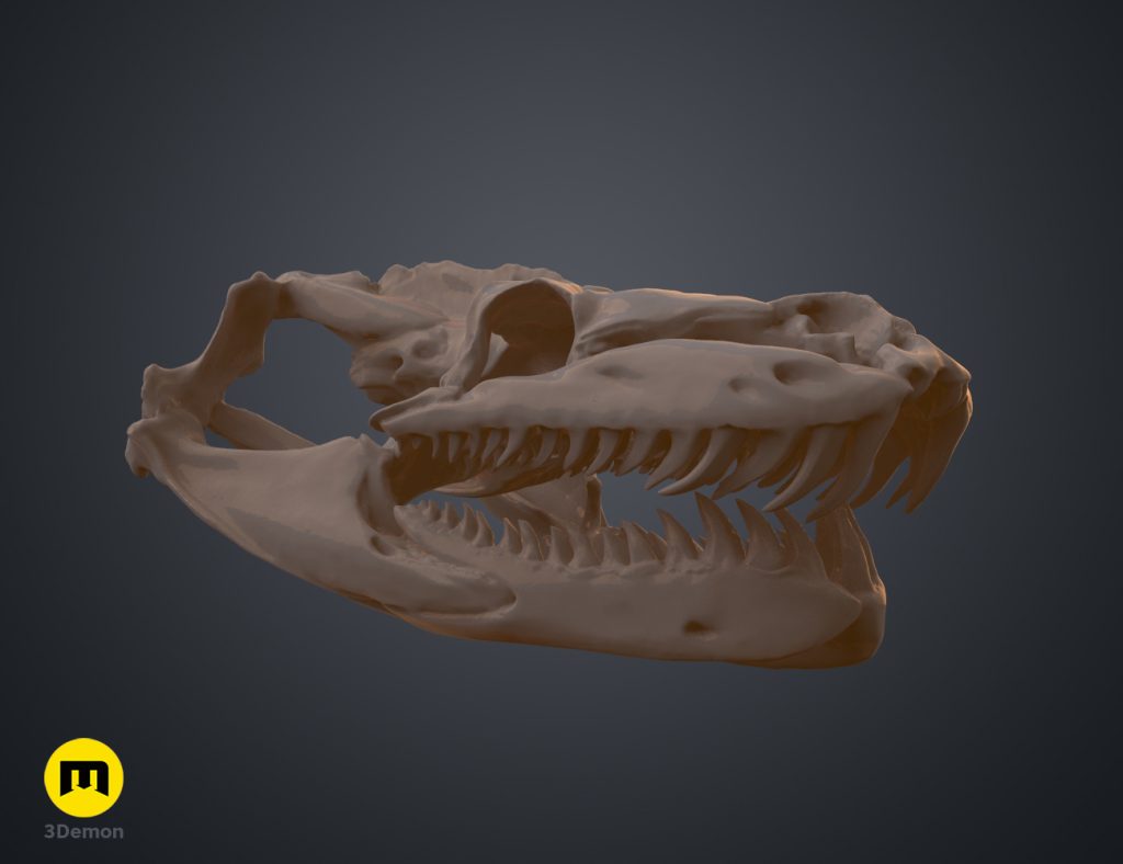 Python Snake Skull – 3Demon - 3D print models download